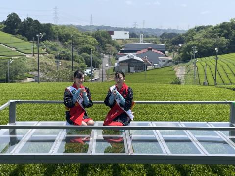 チャバチュー4