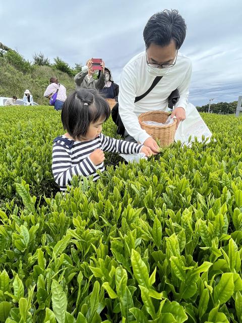 チャバチュー5