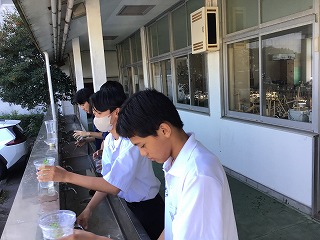 19kg7