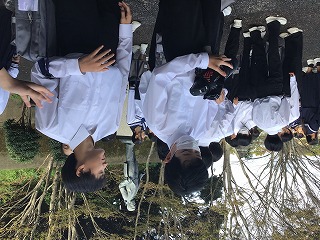 24a16