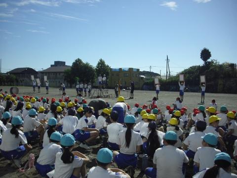 q5