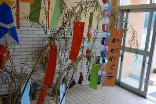 0707tanabata4