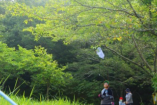 0708creatures6