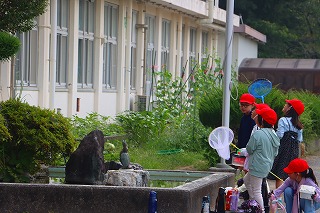 0708creatures10
