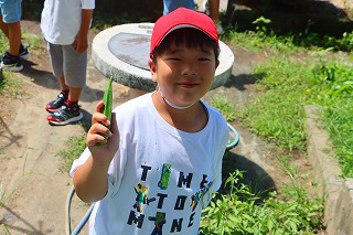0718cucumber1