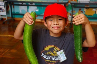 0718cucumber4