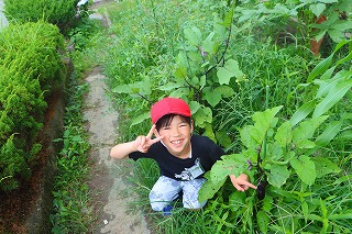 0718cucumber6