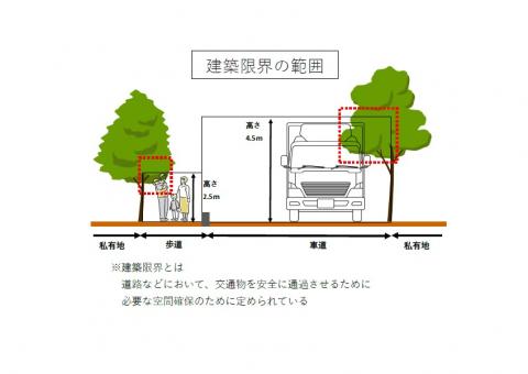 支障木のイラスト