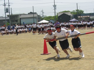 r70528ga201