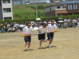 r70528ga203