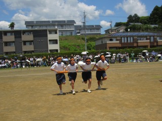 r70528ga206