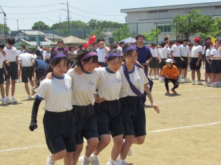 r70528ga306