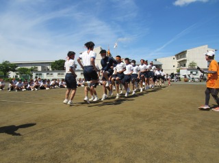r70528na17
