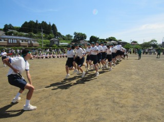 r70528na020