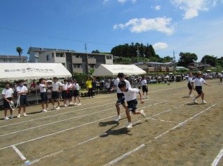 r70528re106
