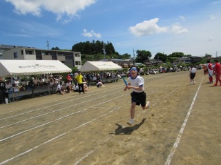 r70528re209