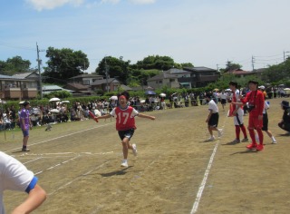 r70528re213