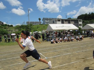 r70528re313