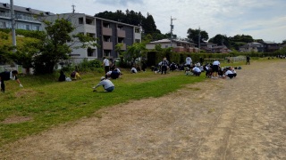 r70607hou01