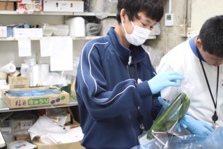 r70925sho31