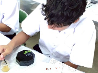 r70926shi01