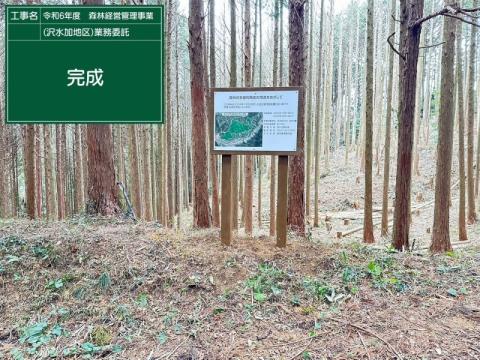 こ