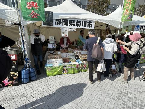 全体