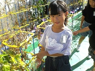 0609101