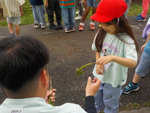 645