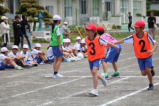 36