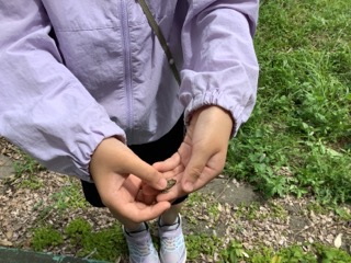 の