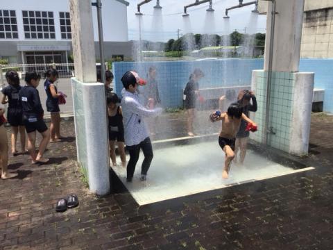 プール4