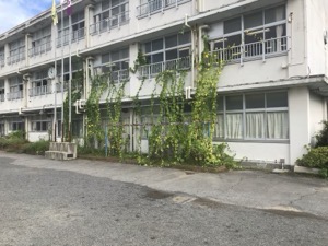R8091407