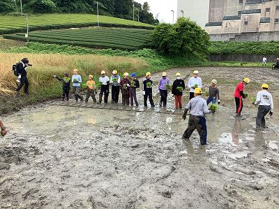taue1