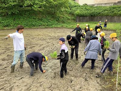 taue3