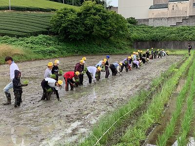 taue4