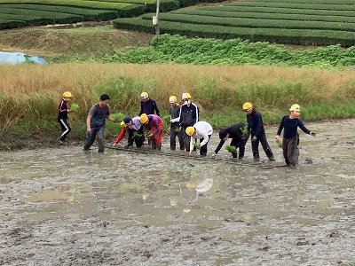 taue5