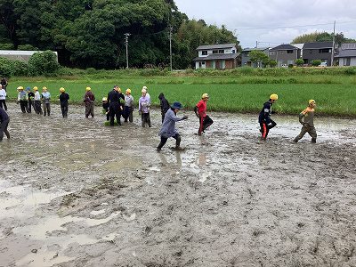 taue6