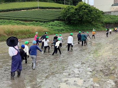 taue10