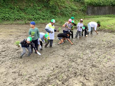 taue11
