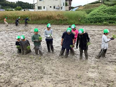 taue12