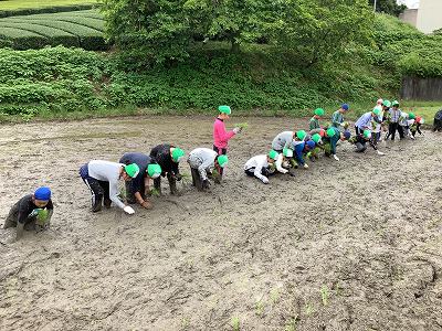 taue13