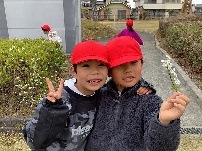haru3