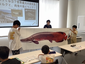 kikugawa503