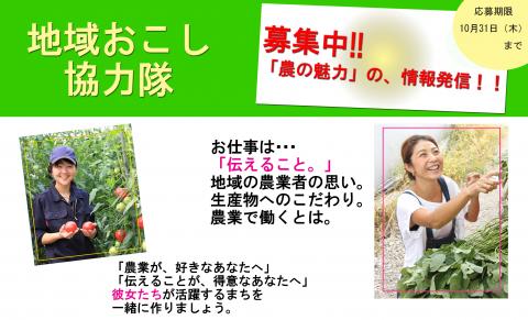 2019地域おこし協力隊募集