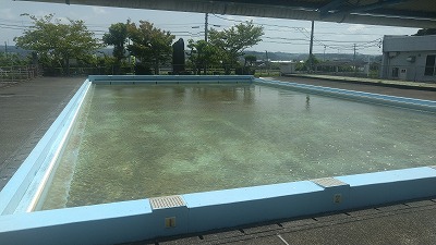 pool