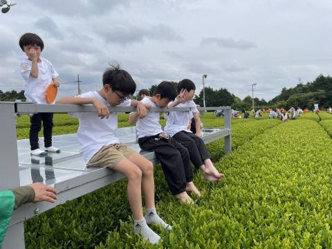 片山製茶イベント1