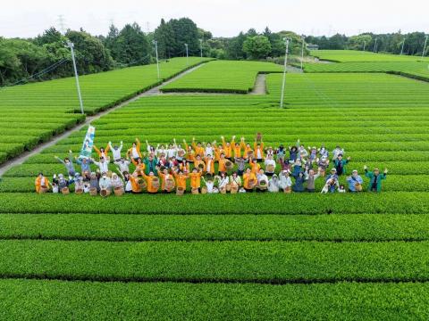 片山製茶イベント2