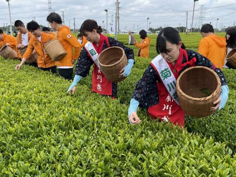 片山製茶イベント3