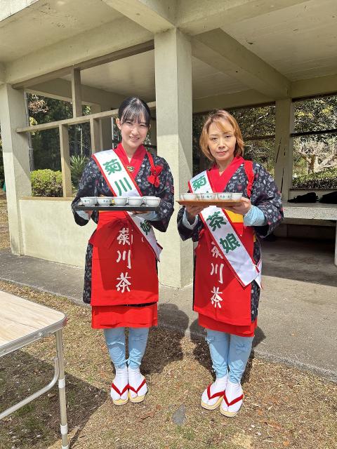 茶娘